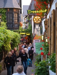 
Séjour à RUDESHEIM et croisière sur le RHIN ROMANTIQUE

